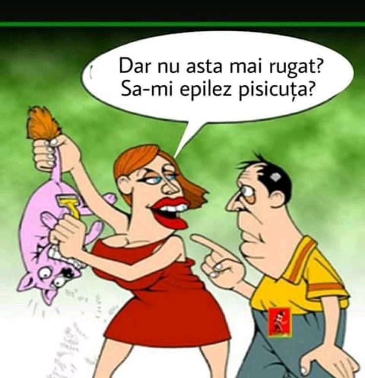 Dar nu asta m-ai rugat? Să-mi epilez pisicuța?