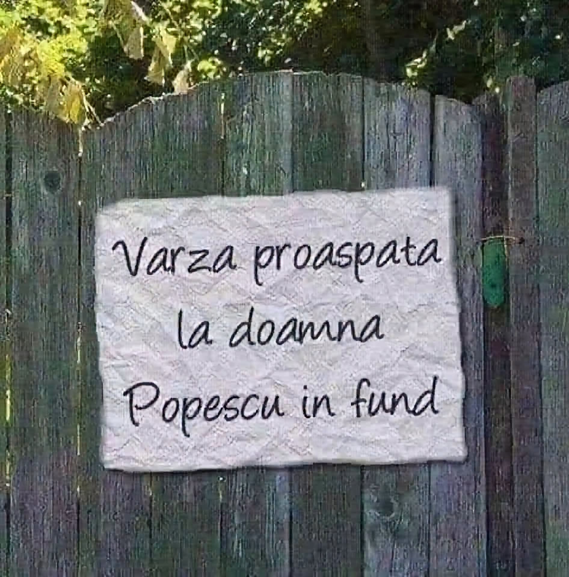 Varză proaspătă la doamna Popescu în fund
