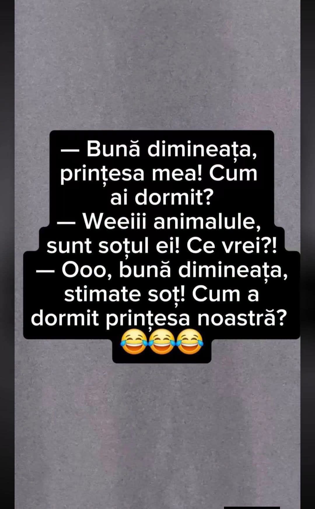 Bună dimineața, prințesa mea! Cum ai dormit? Weeei, animalule, sunt soțul ei! Ooo, bună dimineața, stimate soț!