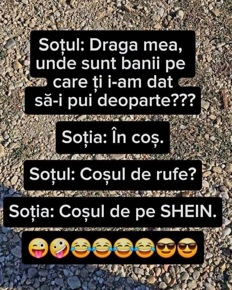 Draga mea, unde sunt banii pe care ți i-am dat să-i pui deoparte? În coș. Coșul de rufe? Coșul de pe SHEIN