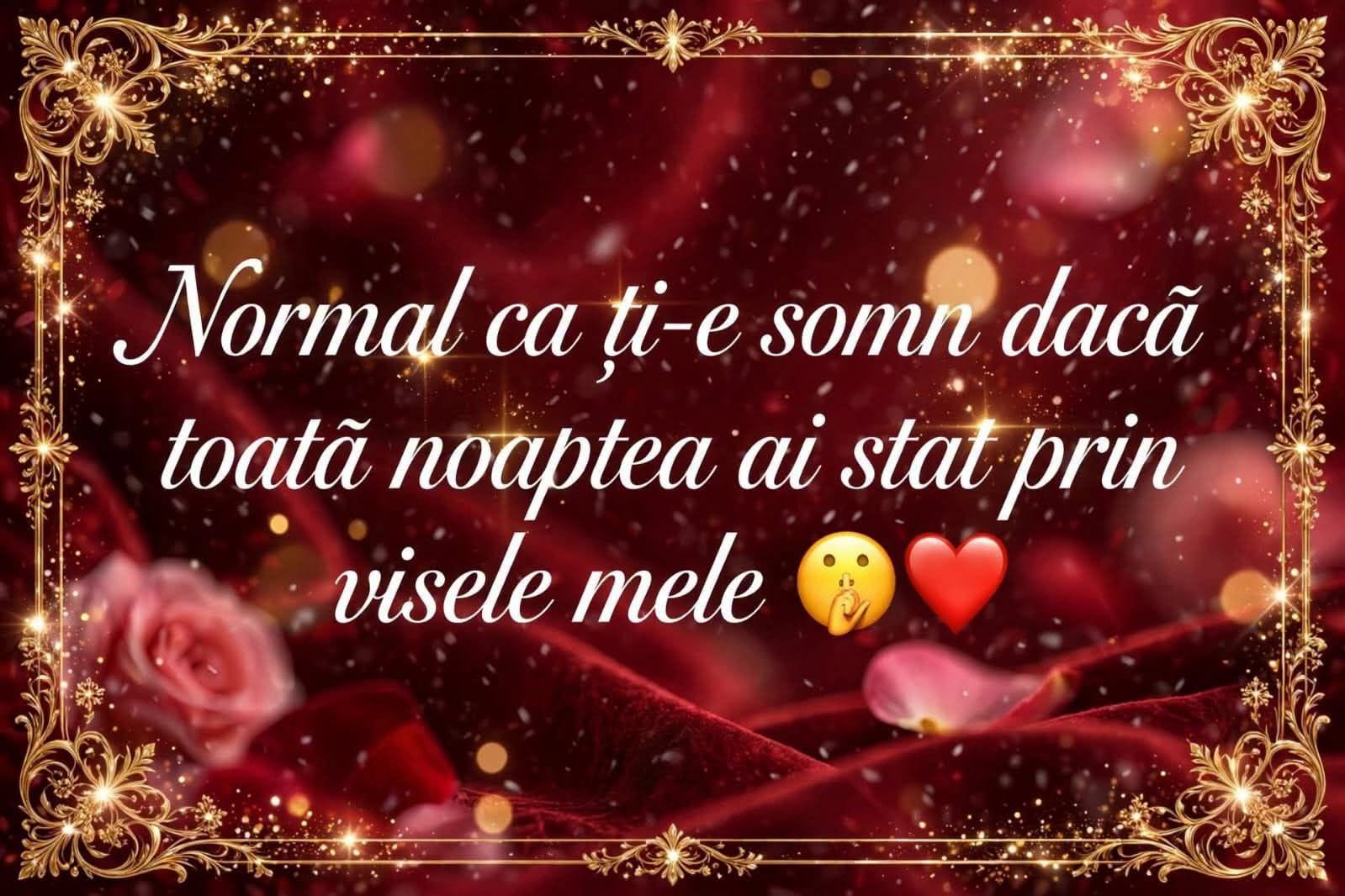 Normal că ți-e somn, dacă toată noaptea ai stat prin visele mele