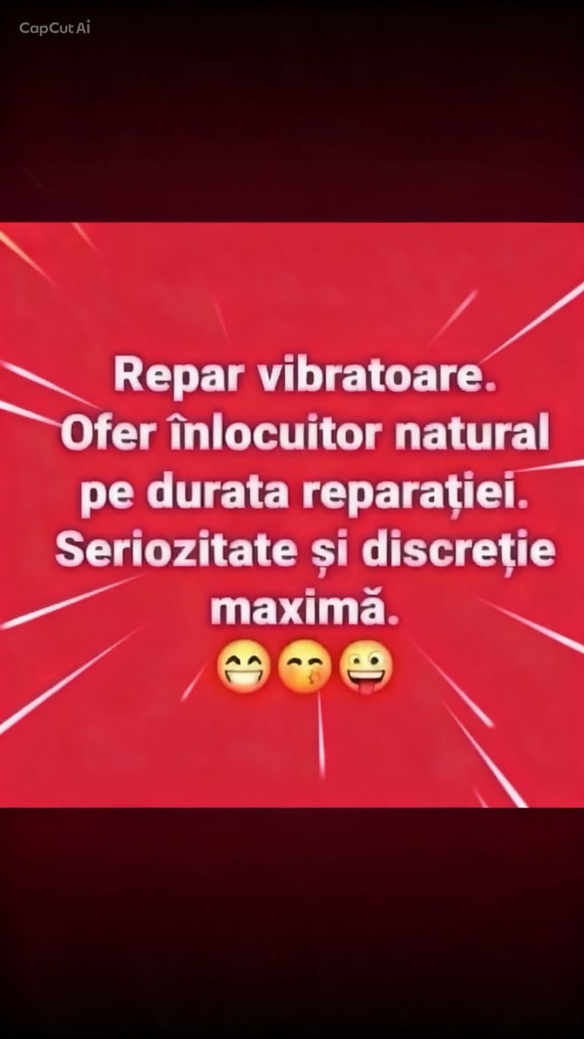 Repar vibratoare. Ofer înlocuitor natural pe durata reparației. Seriozitate și discreție maximă