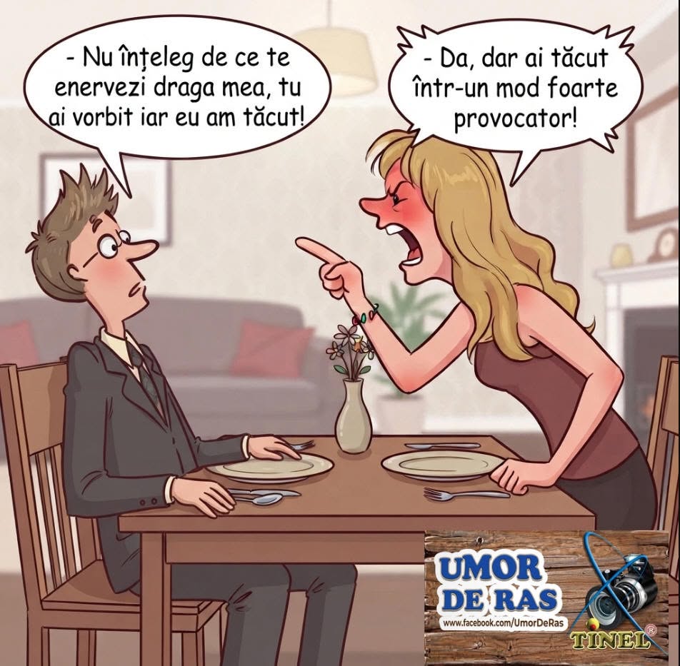 Nu înțeleg de ce te enervezi, dragă, tu ai vorbit, iar eu am tăcut! Da, dar ai tăcut într-un mod foarte provocator!