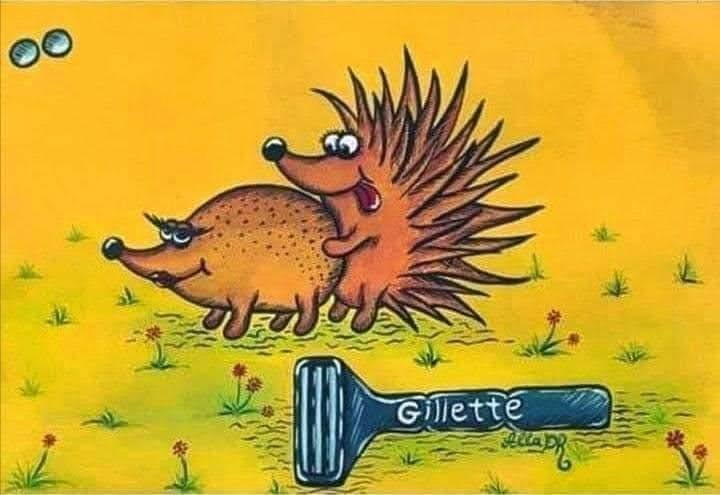 Ariciul care a găsit un aparat de ras