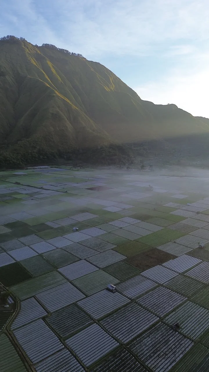 Pemandangan udara Lembah Sembalun dengan kebun sayur berpetak, kabut pagi, dan perbukitan hijau di kaki Rinjani.