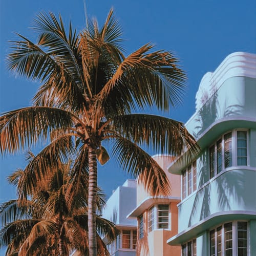 Photo in the 1983 Pro Color