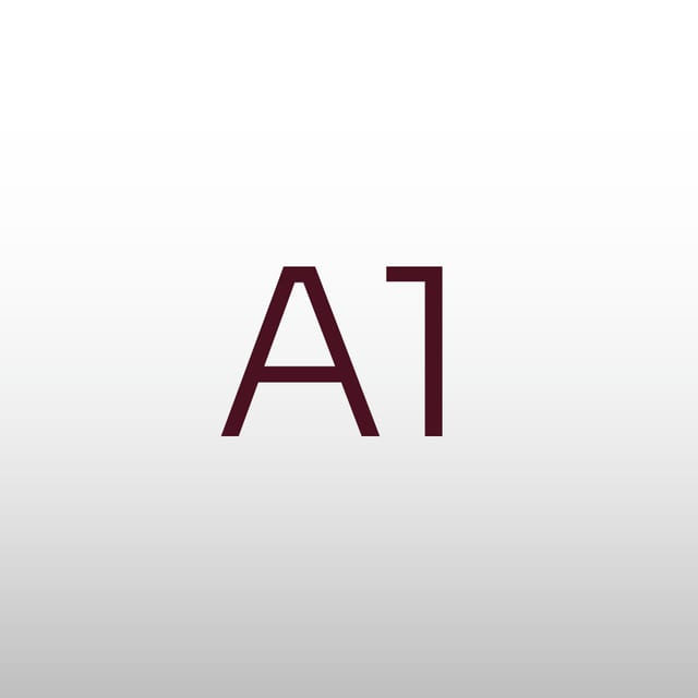 Photo in the A1 Pro Color