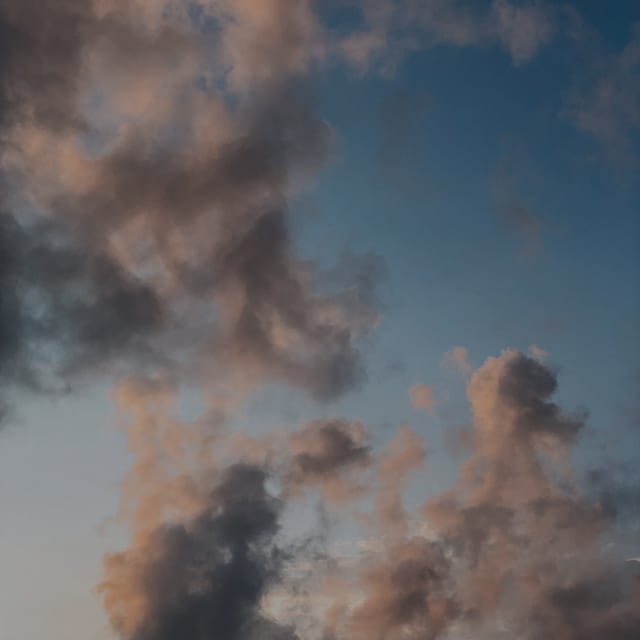 Photo in the Almond Milk Pro Color