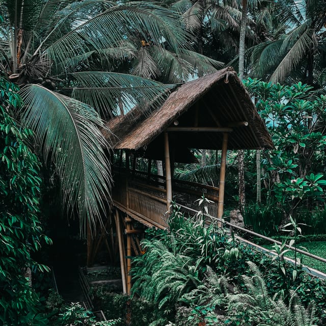 Photo in the Sumatra Pro Color