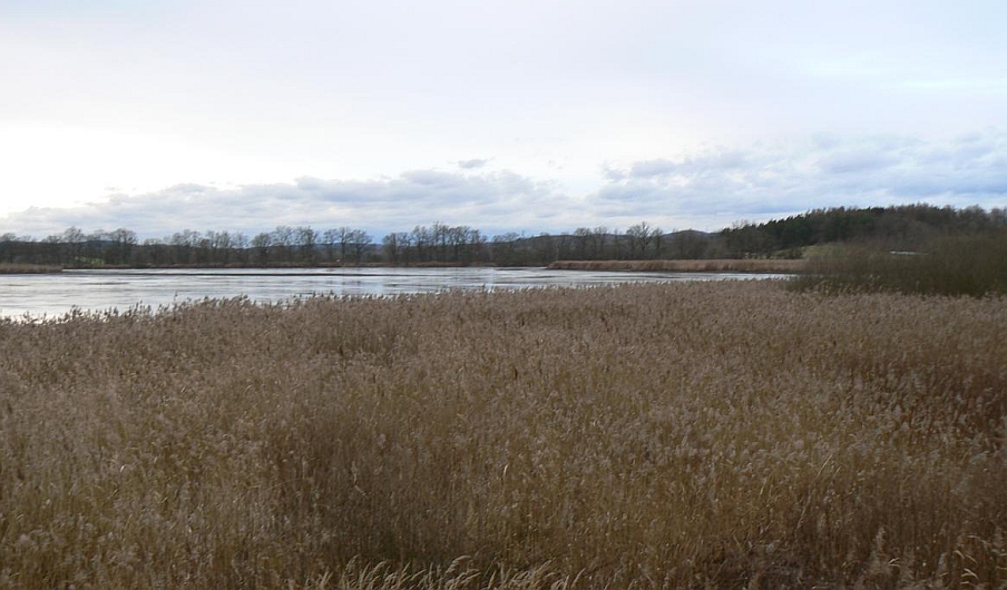 Ornitologická pozorovatelna Řežabinec