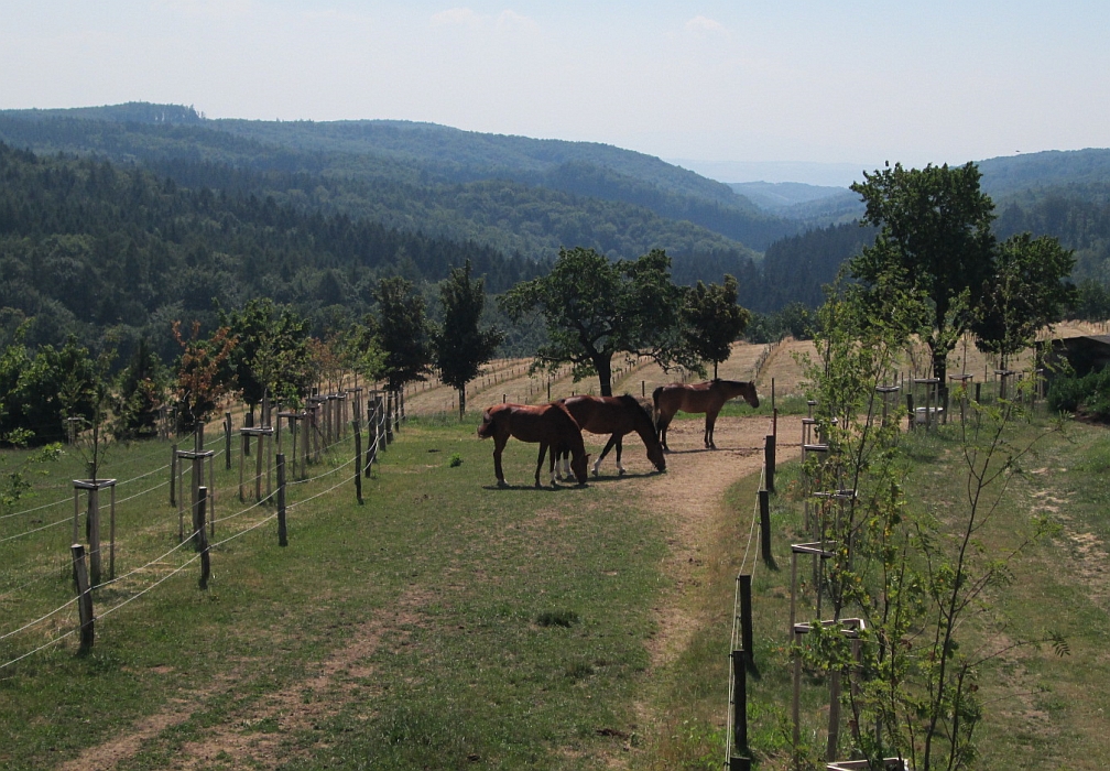 Ranč Kostelany