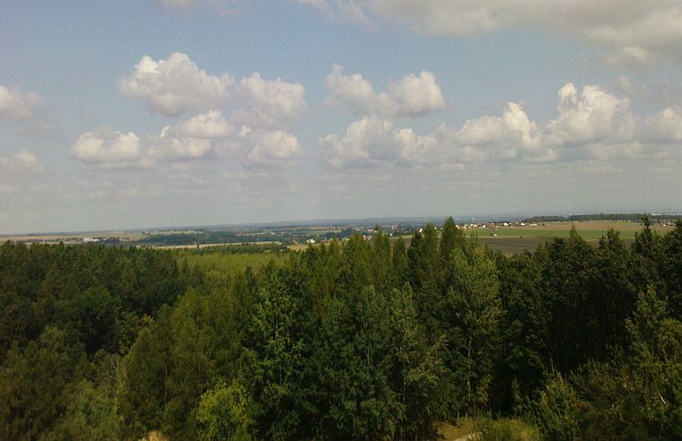 Bára II