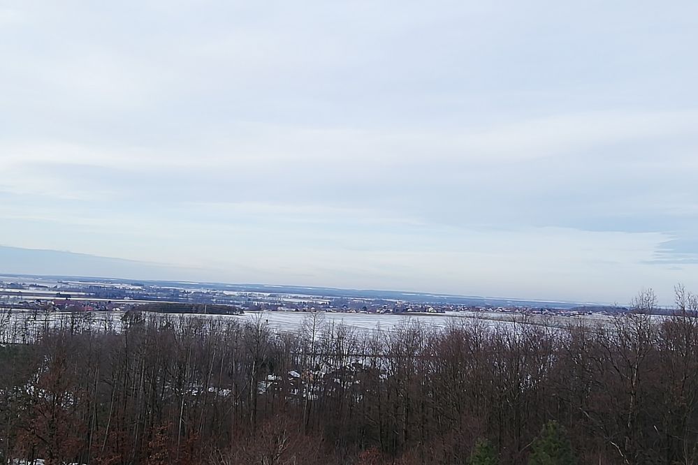 Bára II