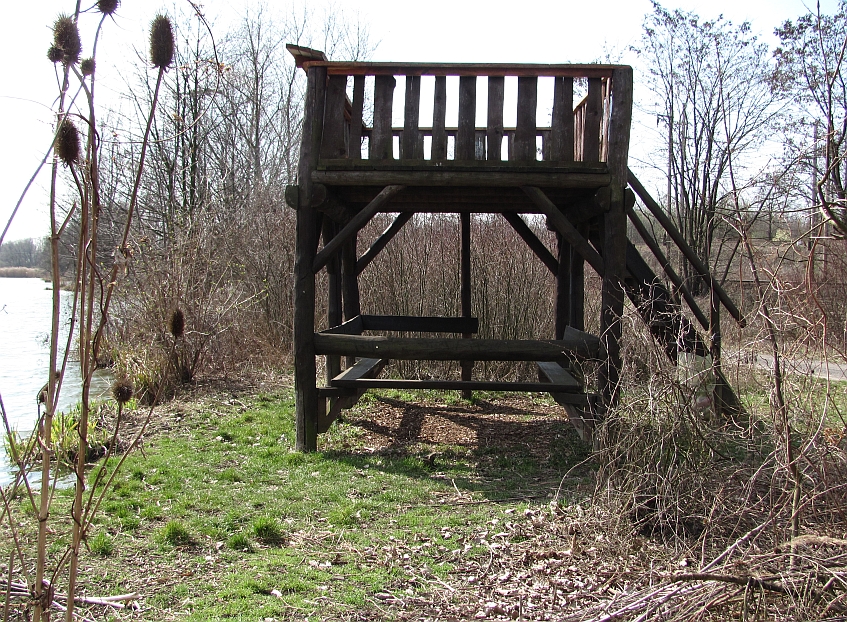 Rezavka
