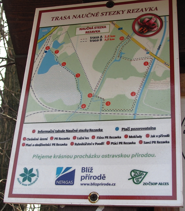 Rezavka
