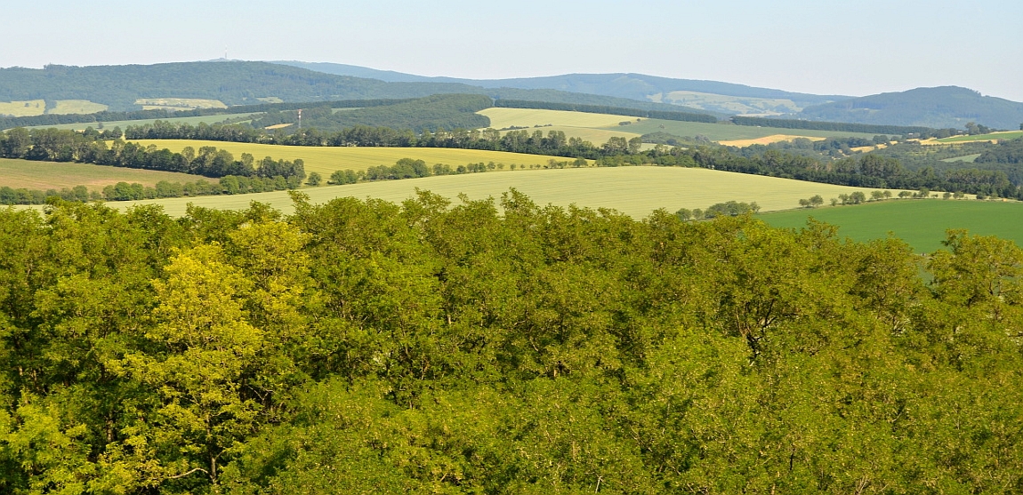 Radošov