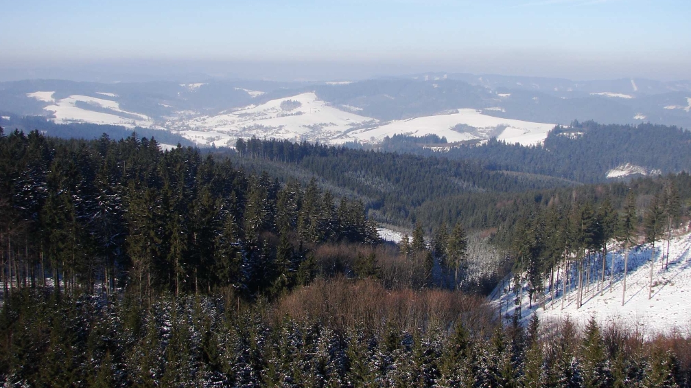 Vartovna