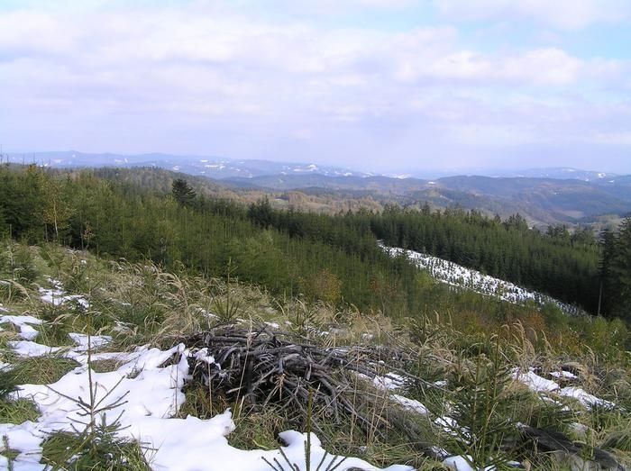 Vartovna
