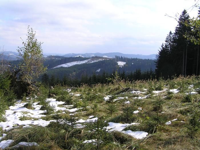 Vartovna