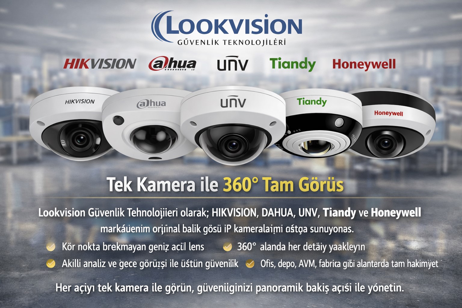 Overlayed Grid Image