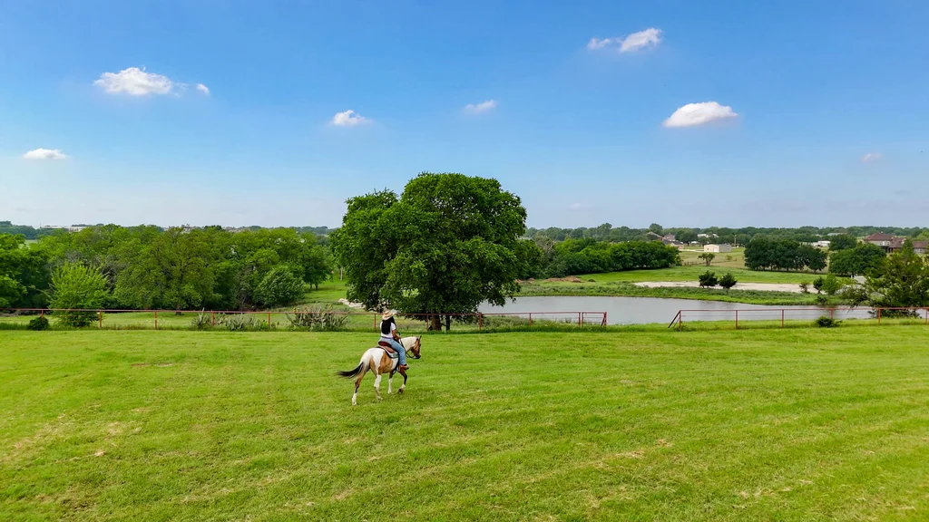 horse+land+hill