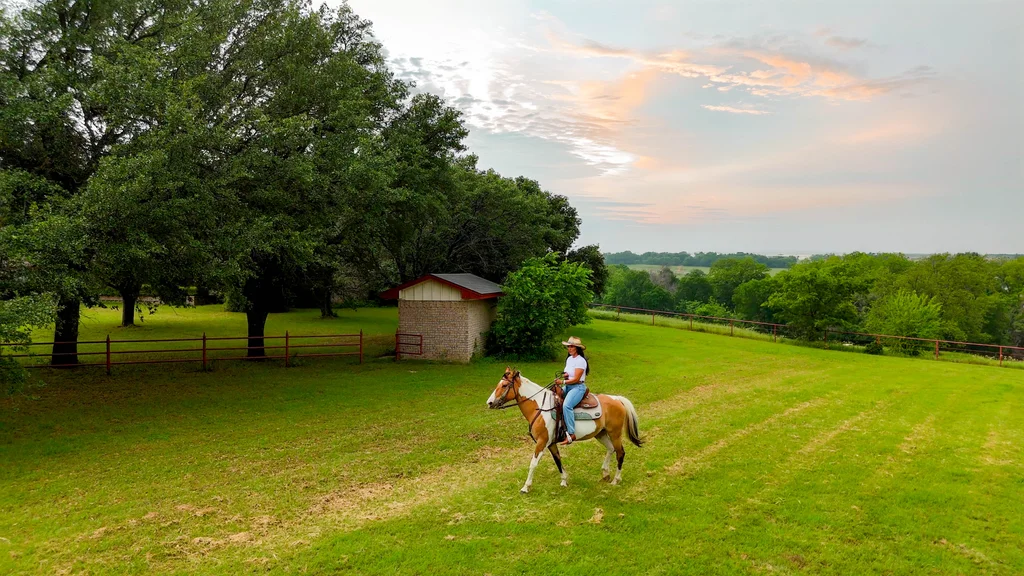 horse.near.house