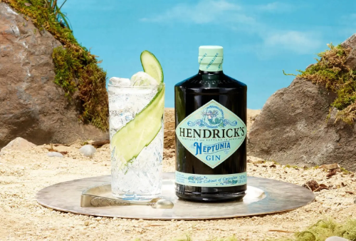 Gin Hendricks Shishe