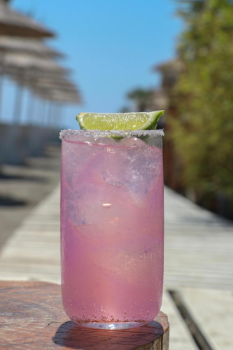 Paloma