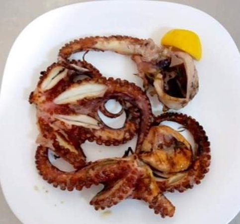 Oktapod Zgare