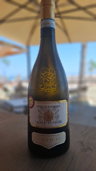 pinot grigio i madh 