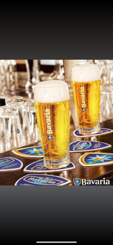 bavaria kriko vogel