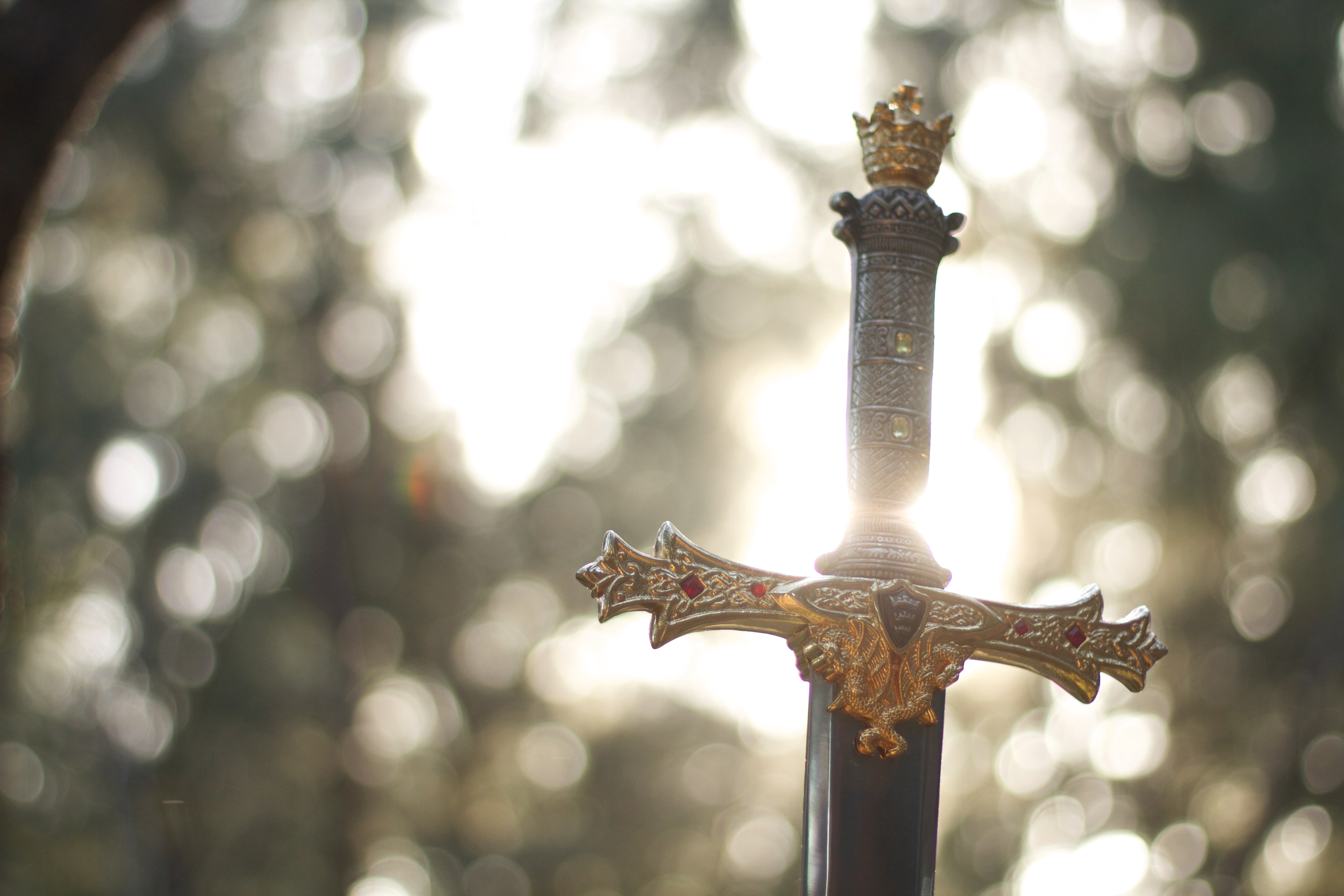 A photo of the hilt of a jeweled sword with a brightly lit forest background