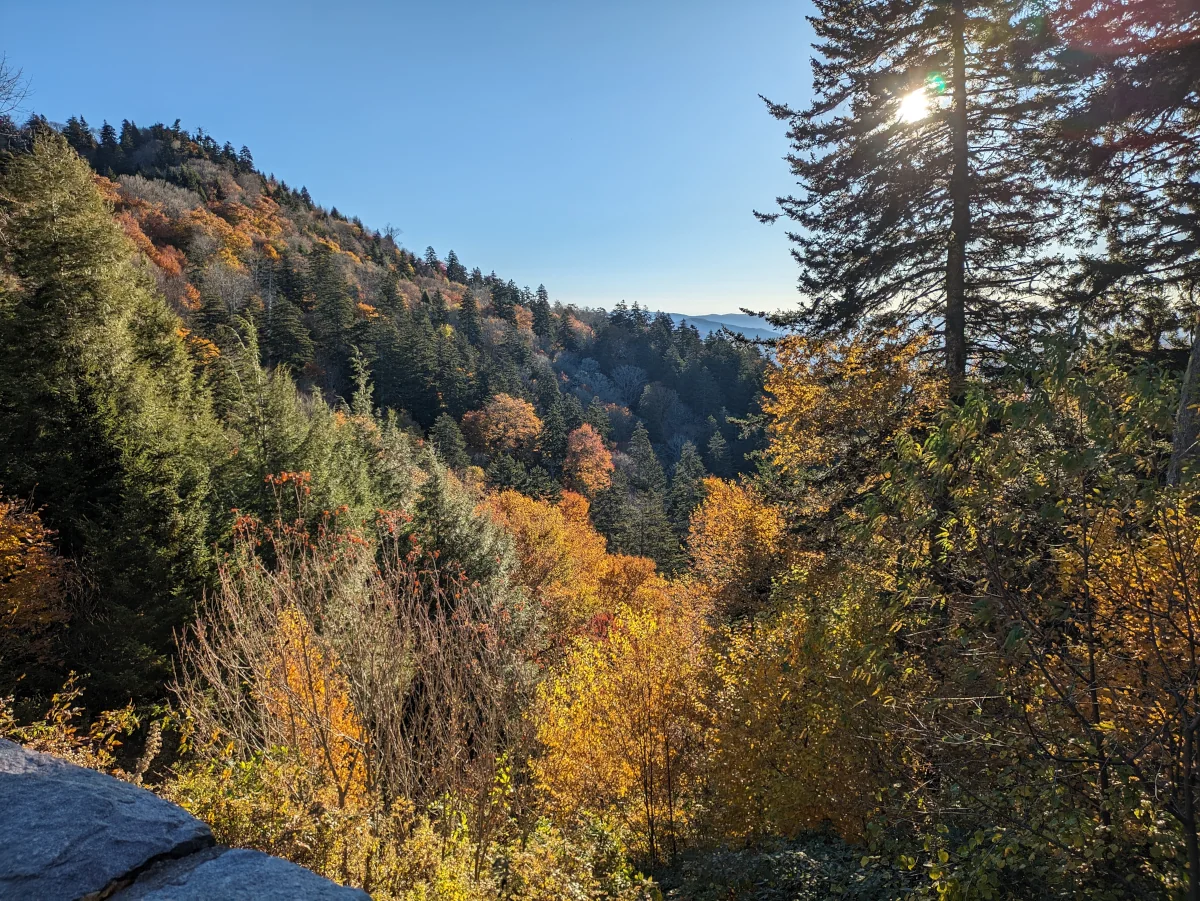 A photo of the Smoky Mountains National Park, taken from the Newfound Gap. There are trees on mountain sides, in shades of greens, golds, and reds as the picture was taken in mid-October and the leaves were changing colors.