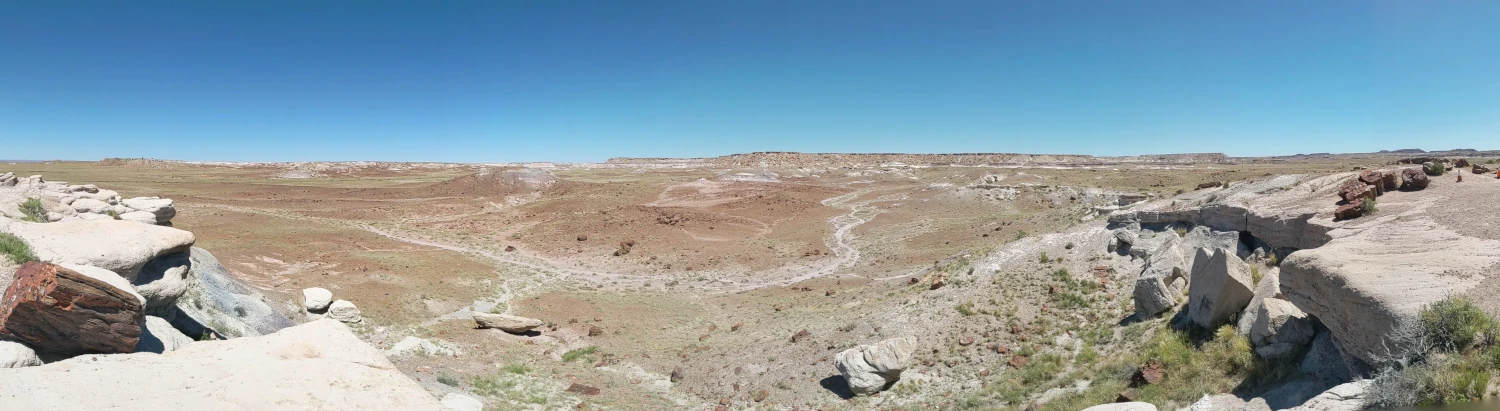 A panoramic photo of a rocky desert, with cliffs in the distance. On either side of the photo is rocky outcroppings with large chunks of petrified wood laying around them.