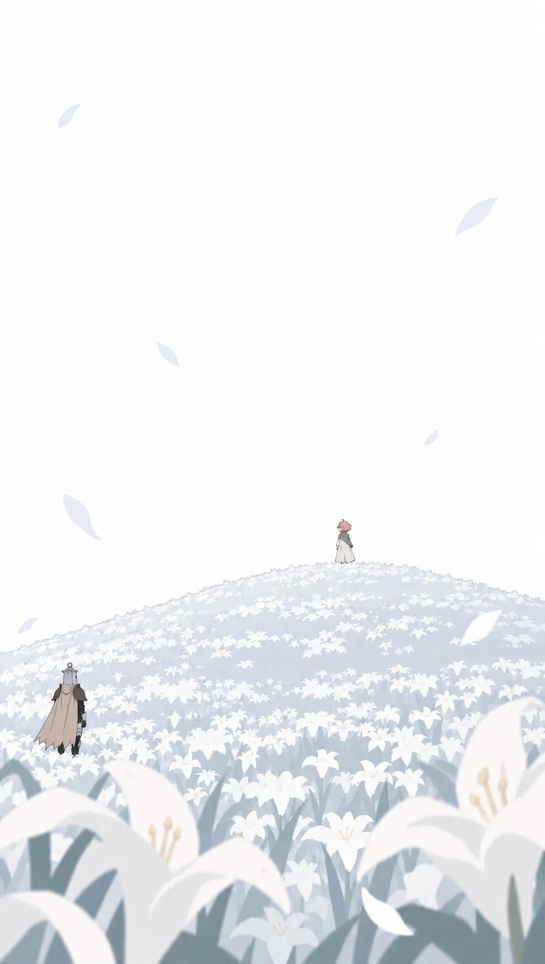 Extreme wide: a rounded hill entirely covered in white lilies under a blown-out white sky.