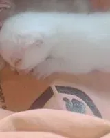 EMERGENCY: Cat lost in Unknown location