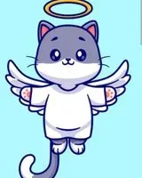 Cat found in Aizenay