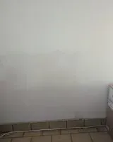 URGENCIA: Perro encontrado(a) en Massugas