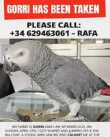 EMERGENCY: Bird lost in Unknown location