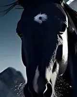 URGENCE : Equidé perdu(e) à Paris