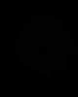 NOTFALL: Hund in Bangalore verloren