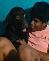 Perro perdido(a) en Bengaluru