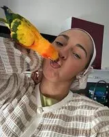 URGENCIA: Pájaro perdido(a) en Lille