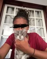 URGENZA: Gatto smarrito(a) a Saint-André