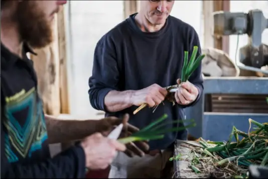 Préparation de paniers de légumes