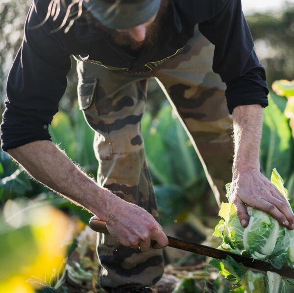 Le temps des récoltes
