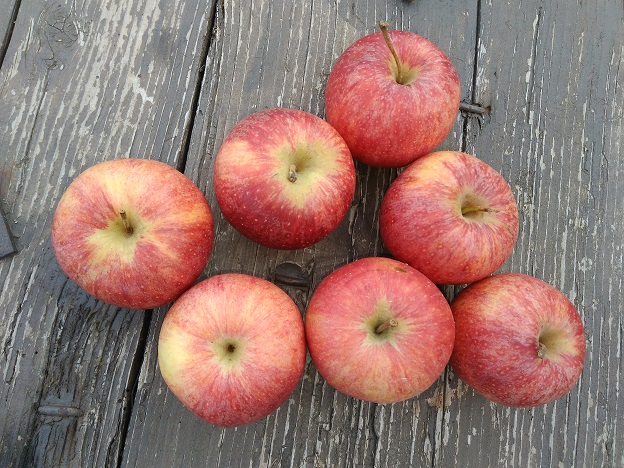 Pommes