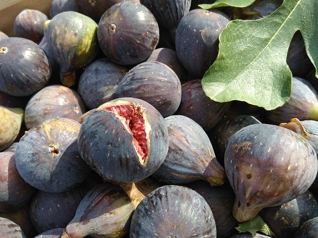 Figues