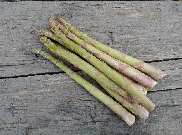Asperges - vertes