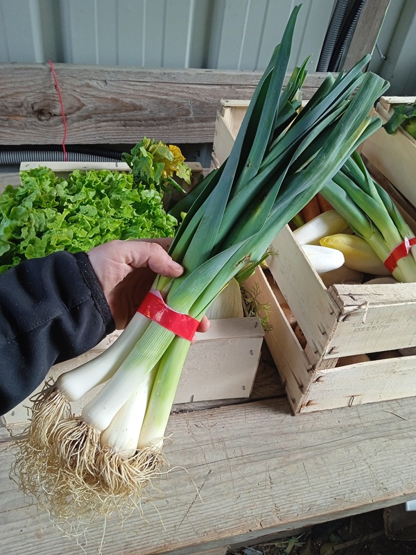 Poireaux - vinaigrette